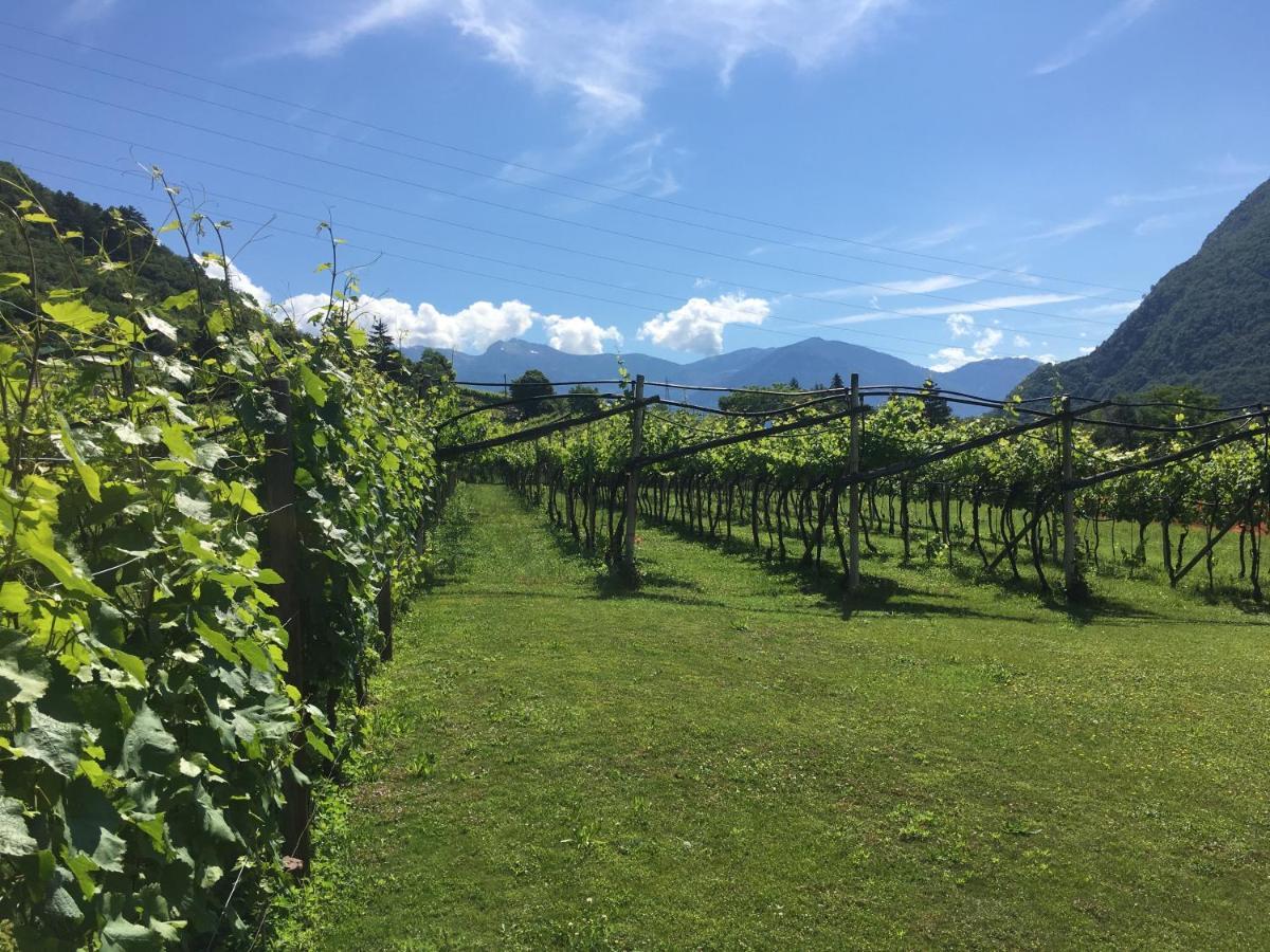 B&B La Casa In Collina Trento Ngoại thất bức ảnh