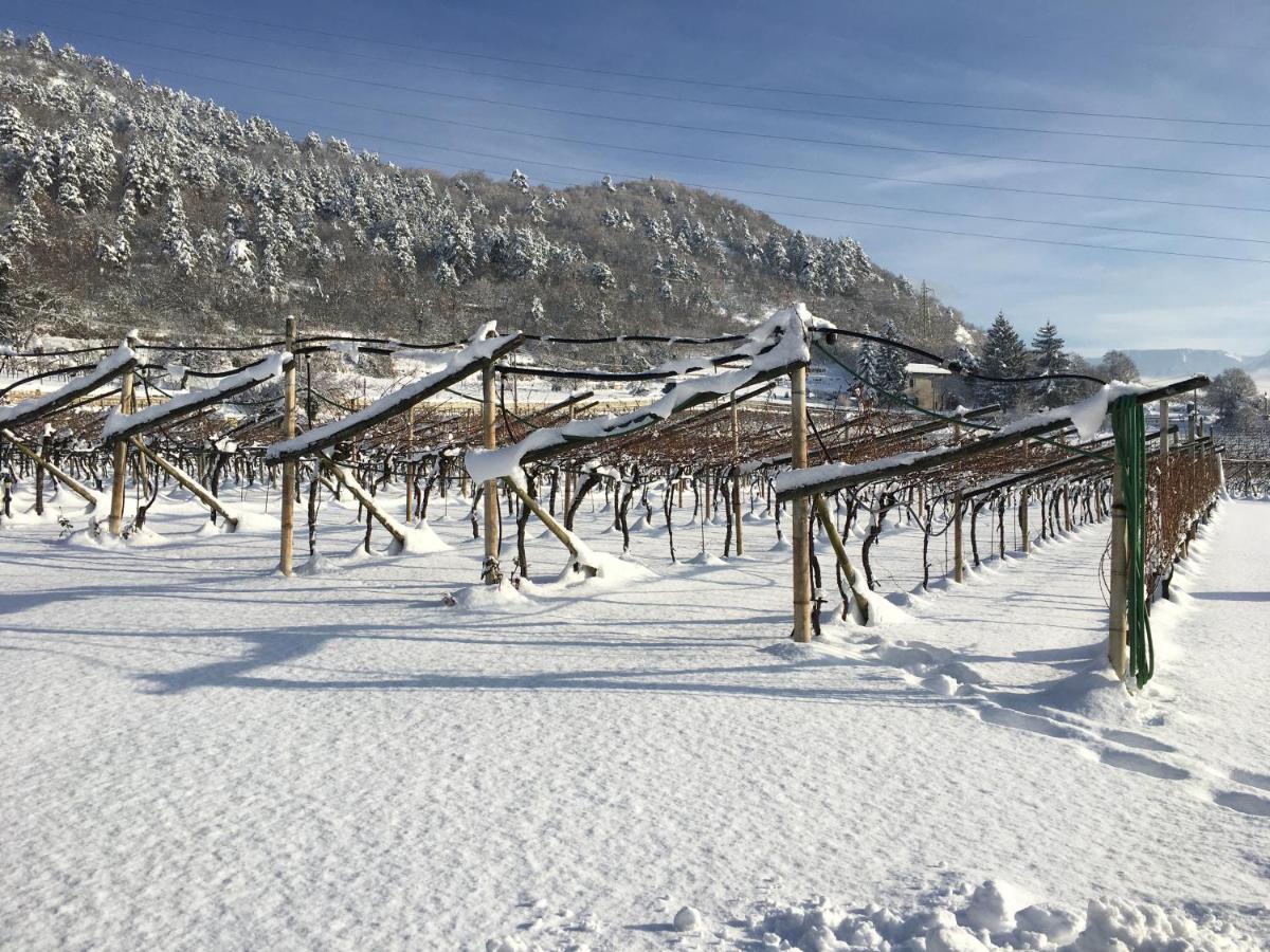 B&B La Casa In Collina Trento Ngoại thất bức ảnh