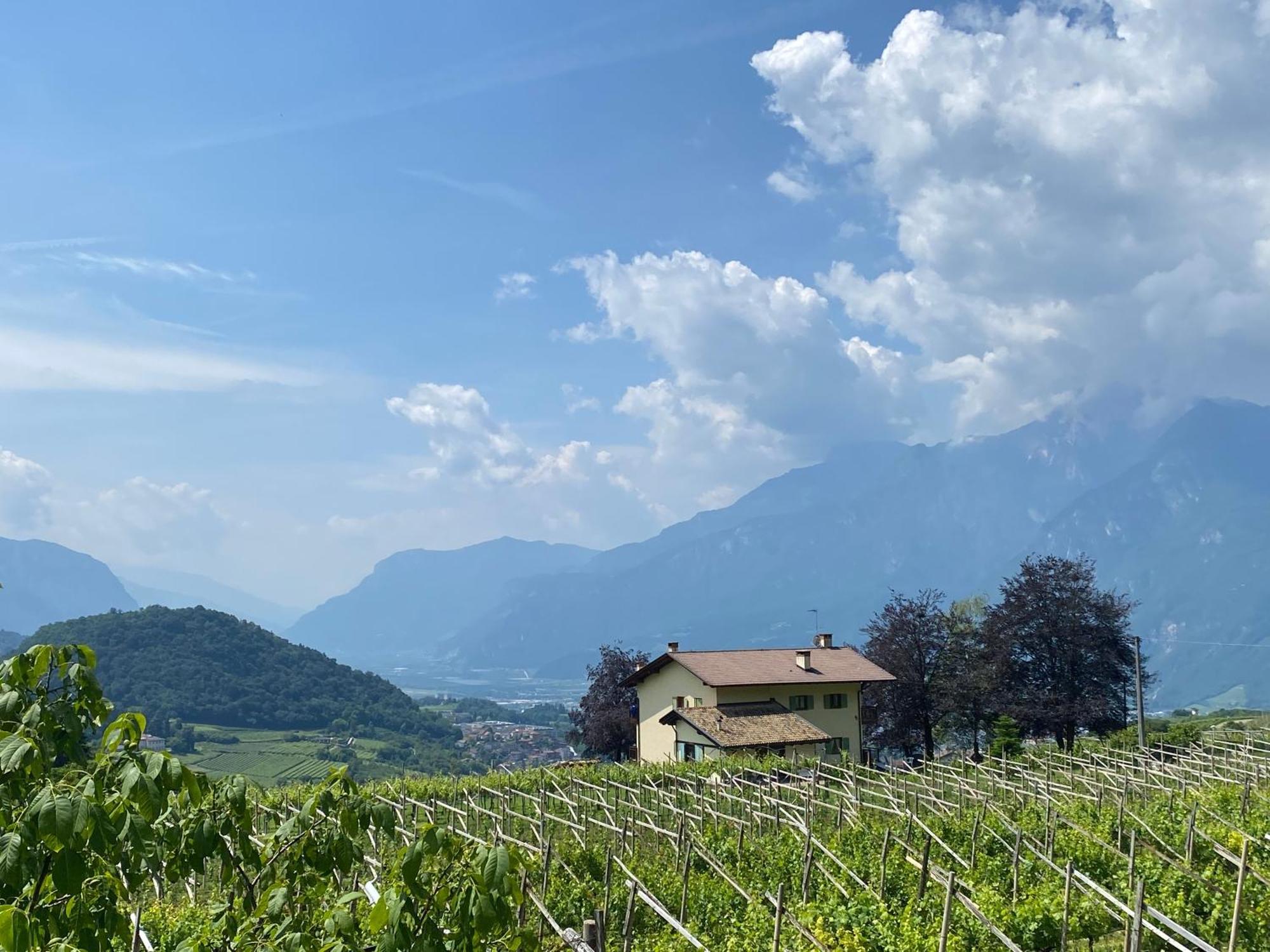B&B La Casa In Collina Trento Ngoại thất bức ảnh